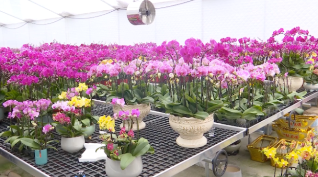 截屏2023-01-06 17.16.54.png