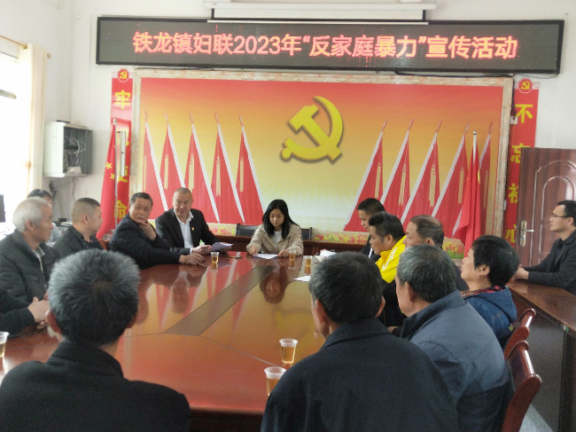 铁龙镇开展《反家庭暴力法》宣传活动.png
