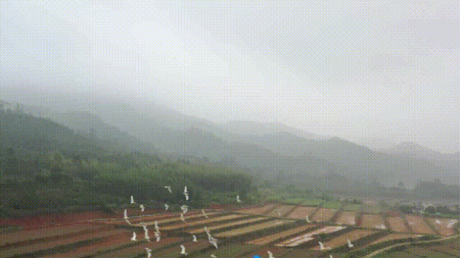 QQ录屏20230407164841 00_00_00-00_00_30.gif