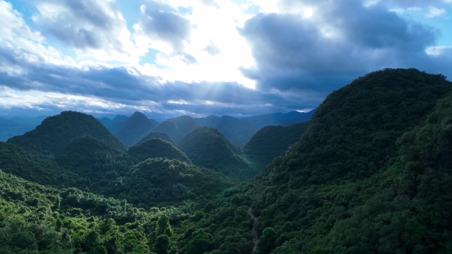 深入实施“六大行动” 高标准推进绿美翁源建设.mp4_20230417_175324.420.jpg