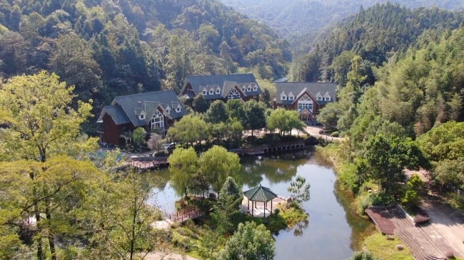 深入实施“六大行动” 高标准推进绿美翁源建设.mp4_20230417_175437.125.jpg