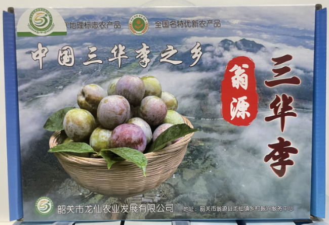 【聚焦高质量发展】翁源三华李正逢果熟 龙仙助农馆与“李”相约2.png