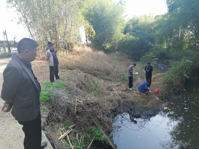 江尾镇开展联合执法,保护生态环境.png