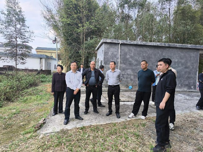 蒋文泓副市长来翁源开展农村生活污水治理工作现场调研.jpg