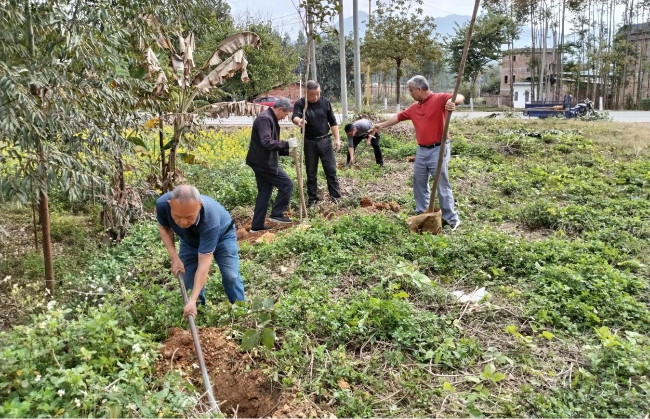 【绿美村庄】坝仔镇梅村村开展“我为家乡种棵树”活动.png