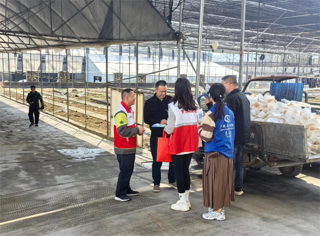 品兰韵文化 展社保风采.png