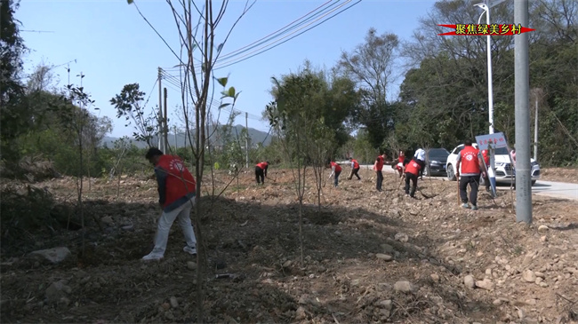 翁源县官渡商会组织开展公益植树活动.mp4_20240321_173202.372.jpg