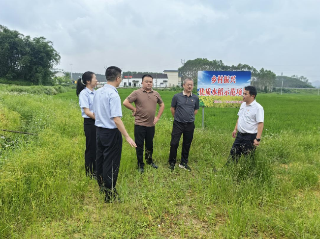 大宝山 新江.png