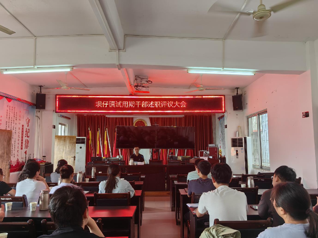 坝仔镇召开试用期满干部述职评议大会.png