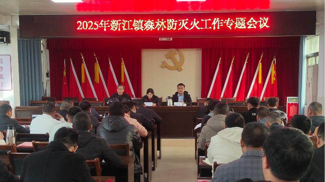 新江镇召开森林防灭火工作专题会议.jpg