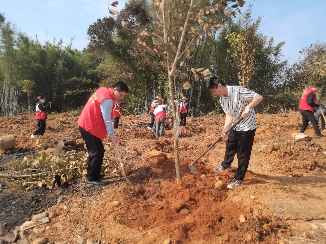 植树节“种”下绿色风景,官渡镇“育”出生态未来.jpg