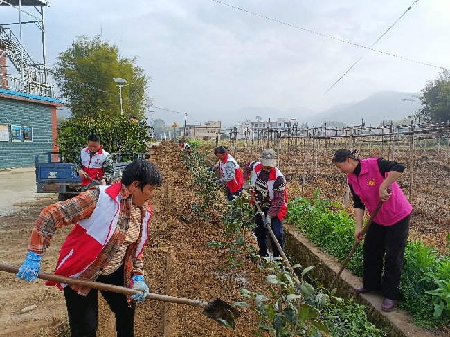 龙仙镇组织各村妇联开展“同植幸福树 共建绿美家”植树活动2.png