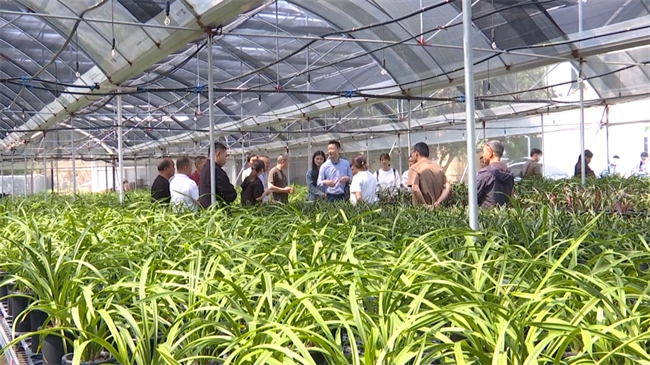 翁源县“产学研融合 兰香共赢——兰花产业高质量发展专家讲堂”.mp4_20250326_182351.163.jpg