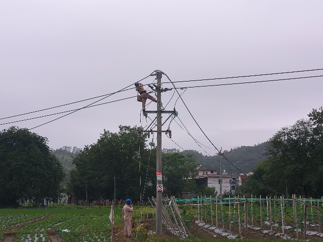 抢修断线故障。沈良 摄.jpg