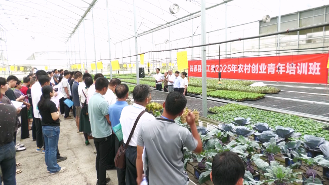 翁源县2025年农村创业青年培训班开班.mp4_20250517_165405.184.jpg