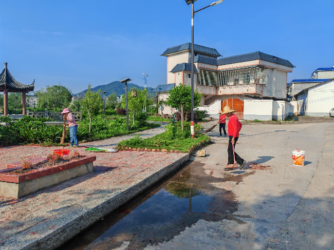 聚合力,美家园!坝仔镇开展全域人居环境整治行动.png