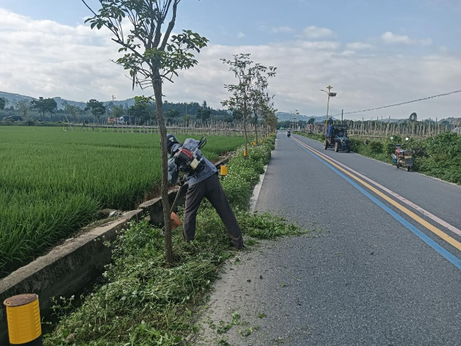 江尾镇积极开展河道专项清理行动 .png