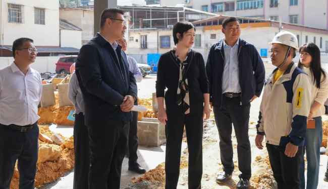 钟真带队到坝仔镇调研相关工作