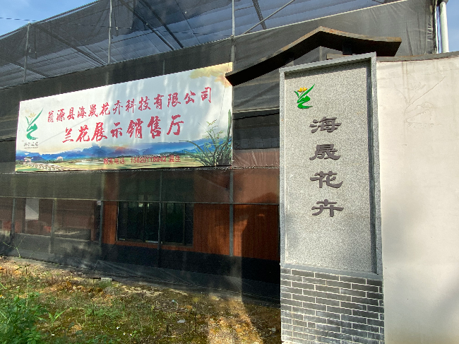 海晟花卉3.jpg