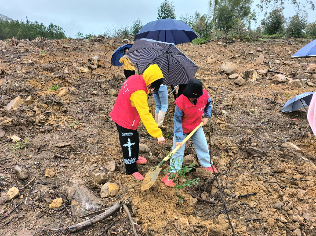植树 (1)_爱奇艺.jpg