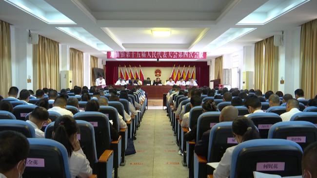 龙仙镇第十五届人民代表大会第四次会议召开[20230321-164307].png