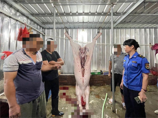 龙仙镇重拳再出击 打掉一私宰生猪窝点.png