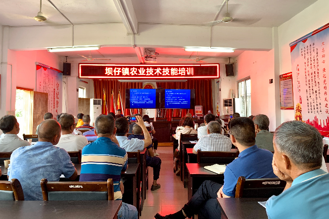坝仔镇举办三华李栽培管理技术培训班.jpg