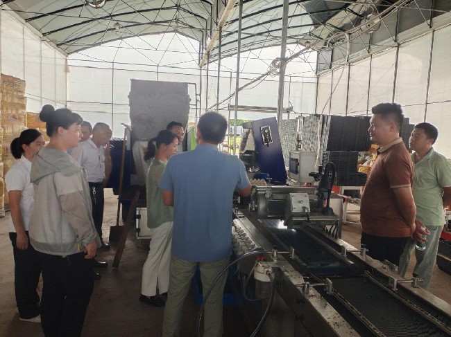 翁源县江尾镇组织人大代表调研广东绿宝农业科技发展公司 助力农业产业转型升级.jpg