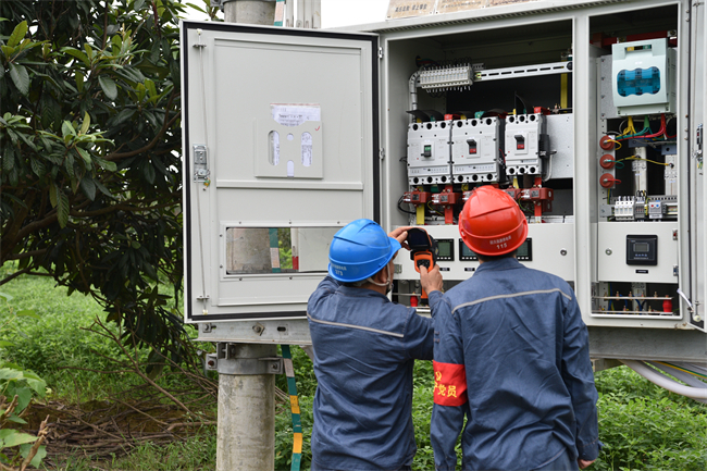 对10千伏线路设备进行巡视检查。潘英华 摄.JPG