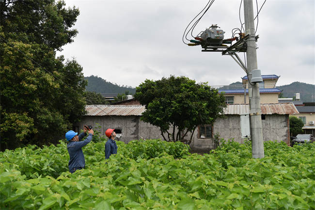 做好台风防御工作。潘英华 摄.JPG