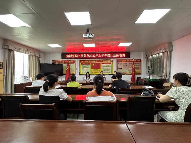 翁源县召开2023年上半年规上服务业统计业务培训会议.jpg