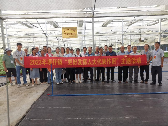 坝仔镇人大代表调研花卉产业发展~1.jpg