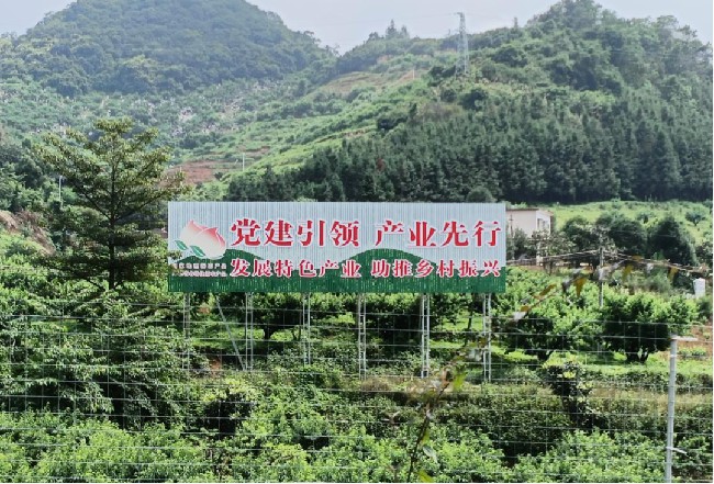 【聚焦高质量发展】龙仙镇：激发党建活力 赋能高质量发展.jpg