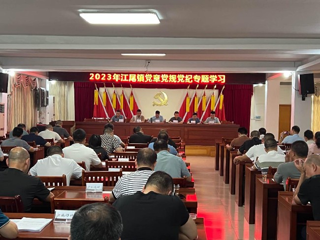 江尾镇开展党章党规党纪专题学习会议.jpg