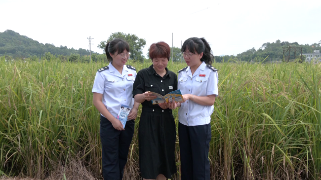 翁源县税务局开展聚焦地方特色产业 税惠赋[00_01_06][20230816-165240].png