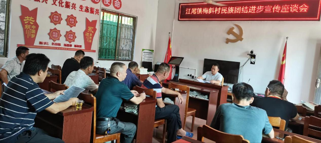 江尾镇梅斜村民族团结进步宣传座谈会.png