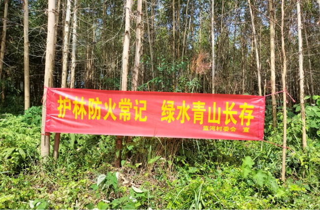 坝仔镇加大森林防火宣传工作力度.png