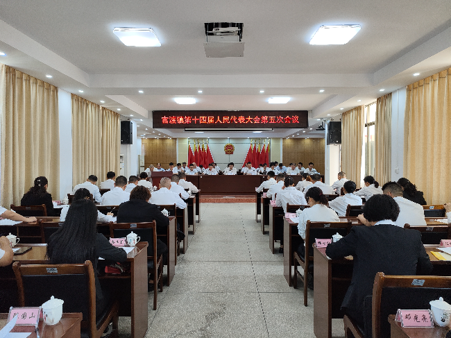 官渡镇第十四届人民代表大会第五次会议顺利召开.jpg