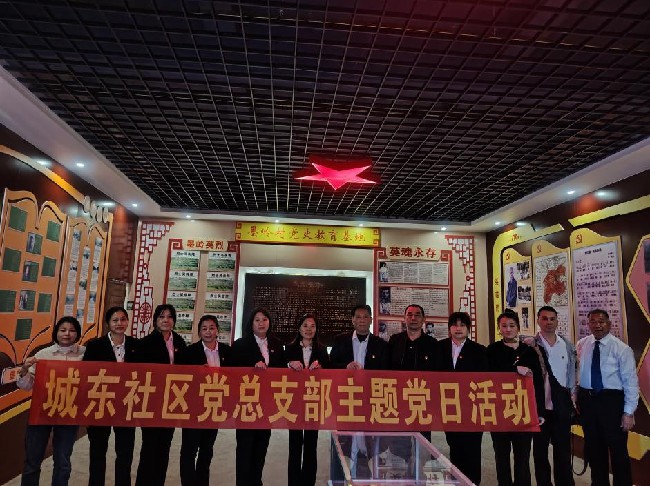 龙仙镇城东社区党支部到翁城墨岭开展.jpg