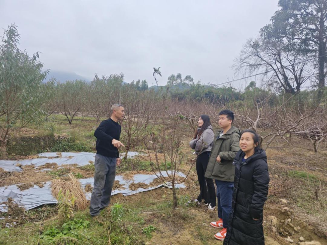 市农业农村局到江尾镇开展.png