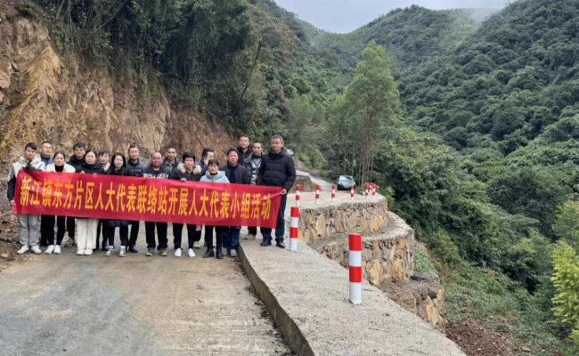 新江镇人大视察水毁道路修复工程 ，助力民生实事项目高质量发展.png