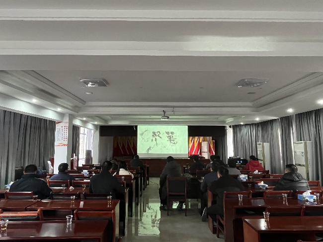 “厚植家国情怀，汲取奋进力量”周陂镇组织观看爱国主义题材电影《单声》.png