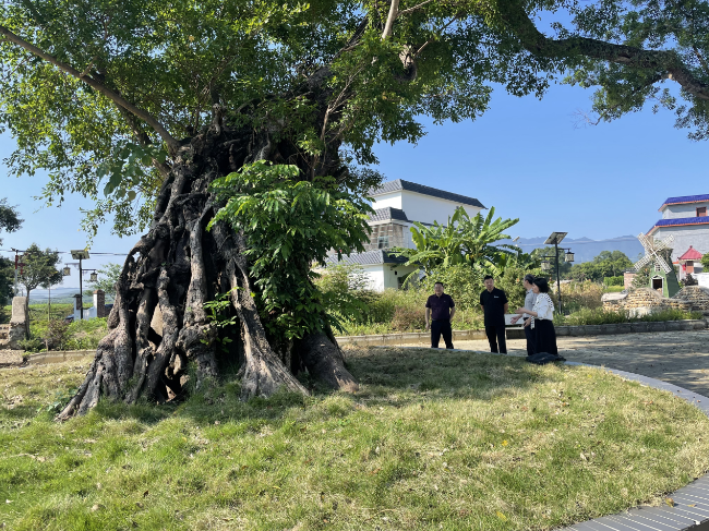 翁源新江：人大代表齐发动 助力“绿美韶关”高质量发展.png