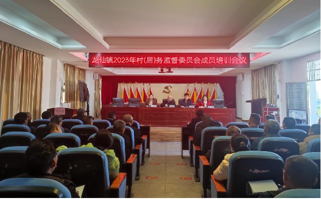 龙仙镇召开2023年村（居）务监督.jpg