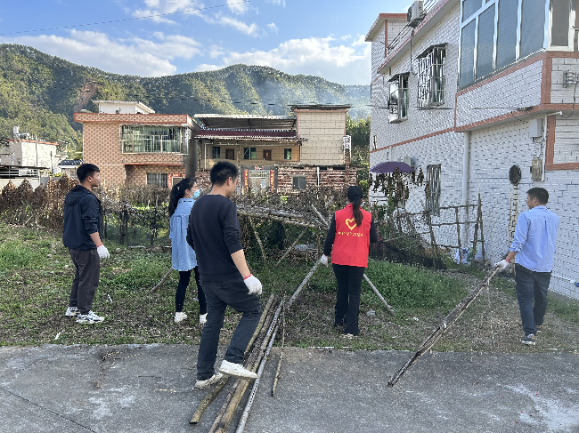 坝仔镇开展“清洁卫生美家园 志愿服务.png