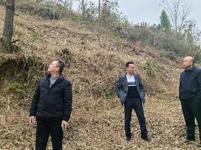 铁龙镇领导督导森林防火工作.png