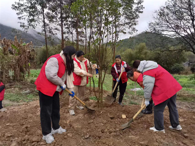 “植”此青绿，不负春光！官渡镇开展植树活动_(2).jpg