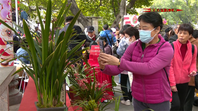 广州市民喜爱兰花.mp4_20240209_150918.816.jpg