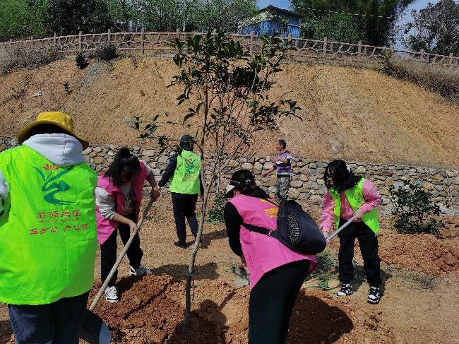 绿美翁源 巾帼志愿在行动——龙仙镇各村居妇联掀起义务植树热潮.jpg