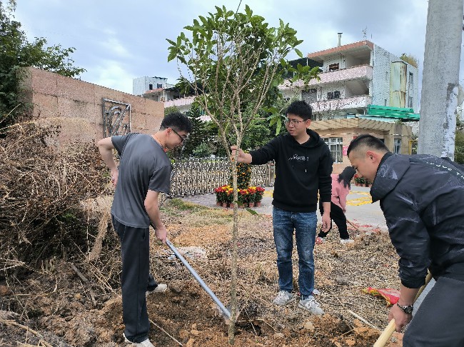 官渡镇：春风吹新绿 植树正当时.jpg